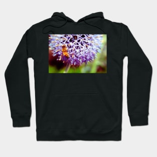 Bee On Small Globe Thistle 3 Hoodie